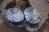 Polished Dendritic Opal Galet / Palm Stone x 12 from Madagascar - Toprock Gemstones and Minerals 