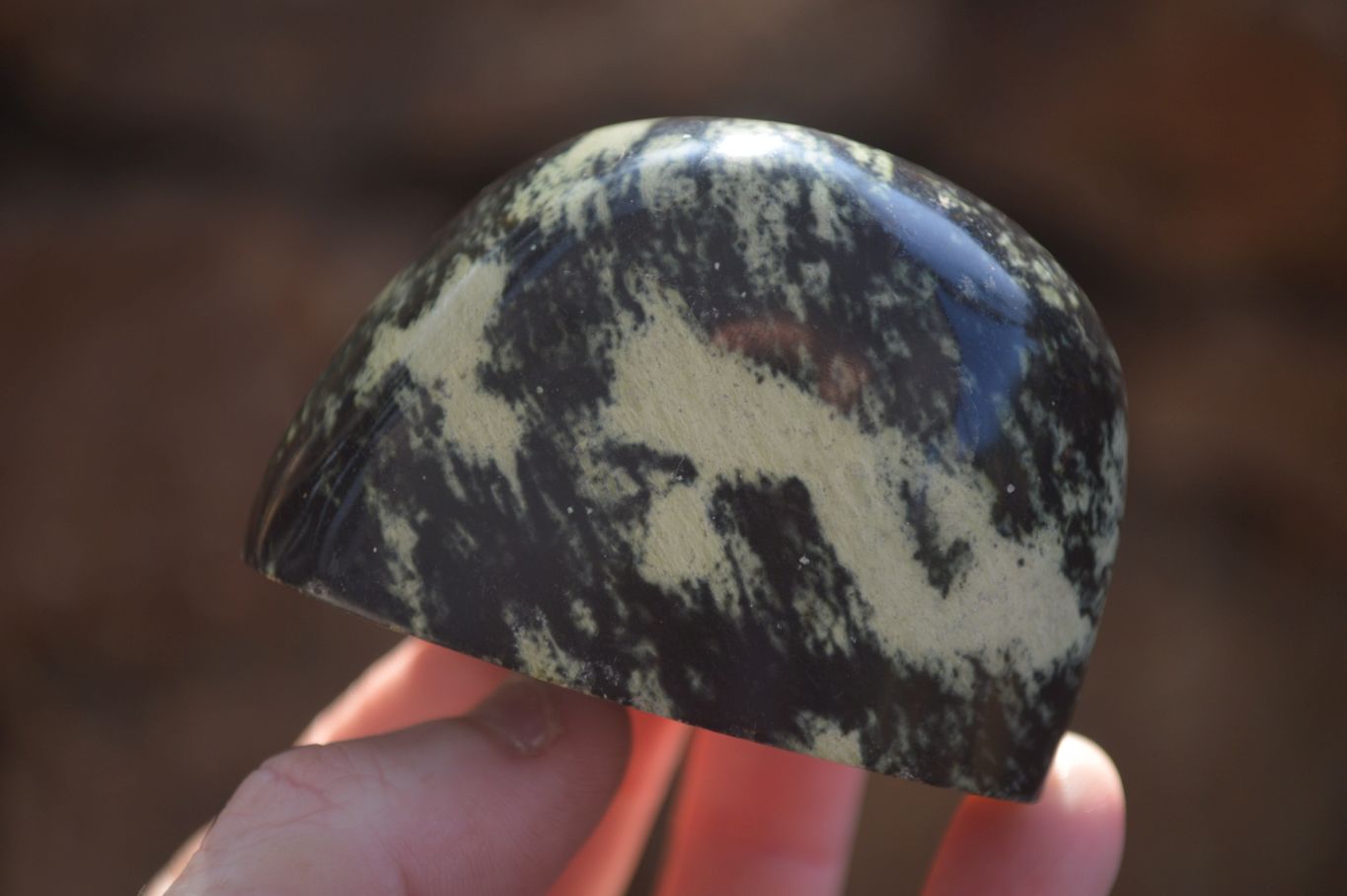 Polished Leopard Stone Free Forms  x 6 From Inyanga, Zimbabwe - Toprock Gemstones and Minerals 