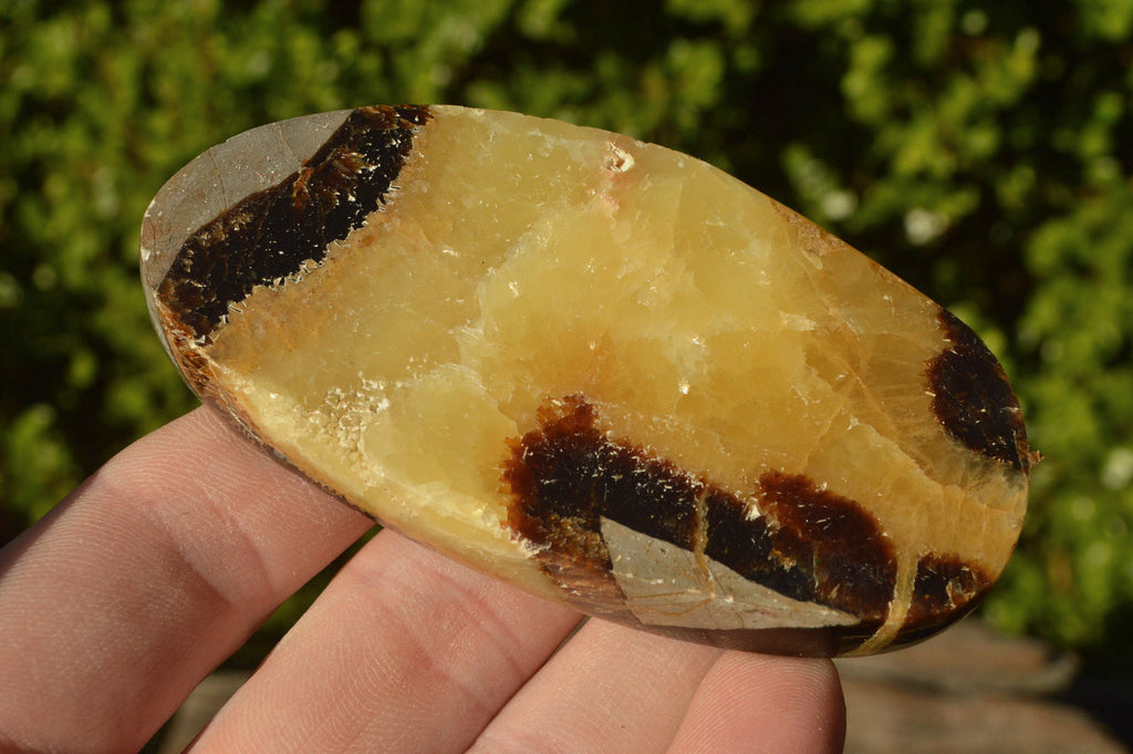 Polished Septerye (Aragonite & Calcite) Slices x 18 From Mahajanga, Madagascar - TopRock