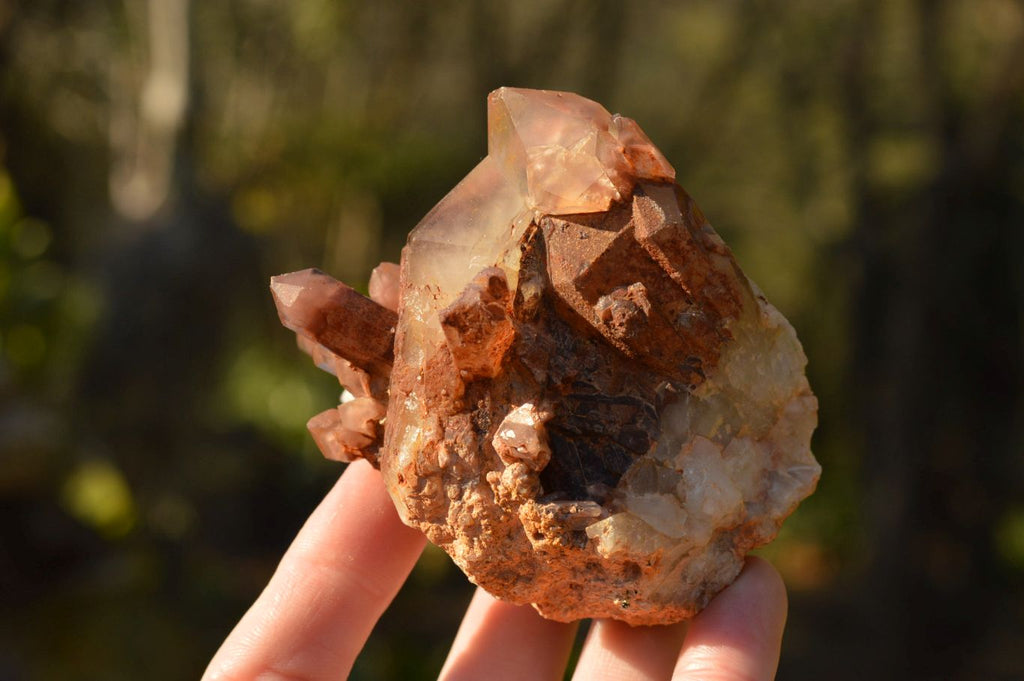 Natural Red Hematoid Phantom Quartz Clusters  x 6 From Karoi, Zimbabwe - TopRock
