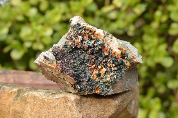 Natural Rare Copper Phosphate Libethenite On Dolomite Clusters  x 3 From Shituru, Congo - TopRock