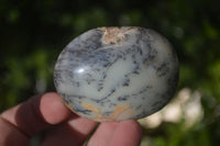 Polished Dendritic Opal Galet / Palm Stone x 12 from Madagascar - Toprock Gemstones and Minerals 