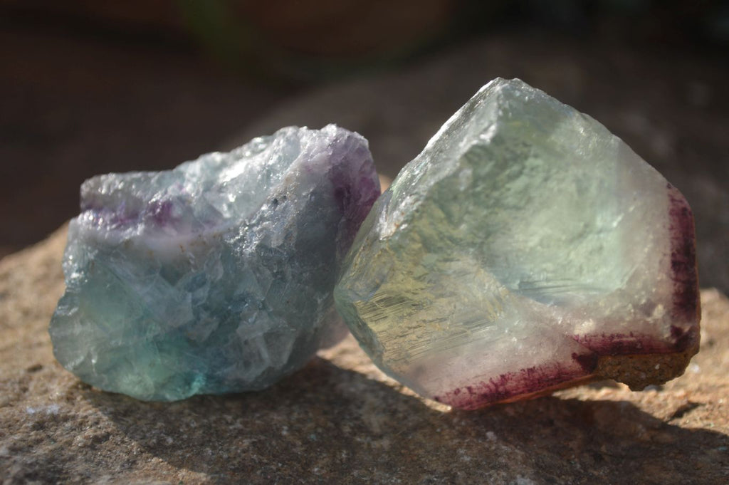 Natural Rough Watermelon Fluorite Cobbed Specimens  x 24 From Uis, Namibia - Toprock Gemstones and Minerals 
