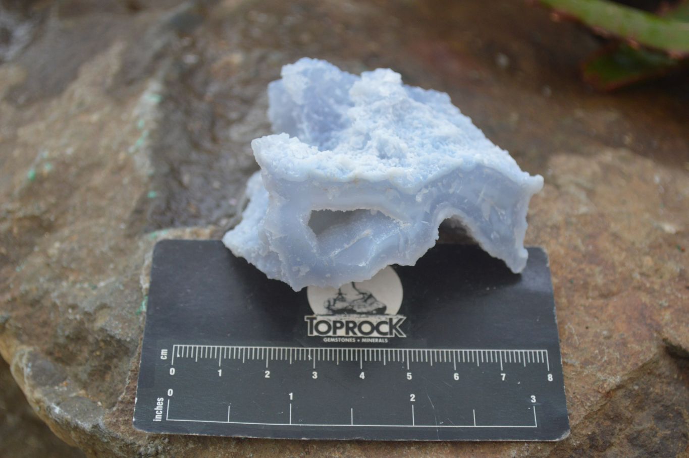 Natural Etched Blue Chalcedony Specimens x 12 From Nsanje, Malawi - Toprock Gemstones and Minerals 