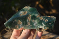 Polished On One Side Emerald Mtorolite Plates x 4 From Mutorashanga, Zimbabwe - Toprock Gemstones and Minerals 