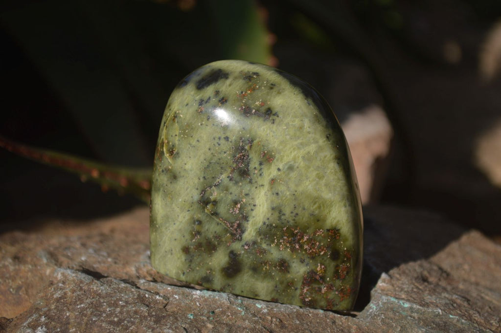 Polished Leopard Stone Free Forms  x 6 From Inyanga, Zimbabwe - Toprock Gemstones and Minerals 