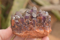 Natural Dark Amethyst Clusters (Stone Sealed) x 12 From Zambia - Toprock Gemstones and Minerals 