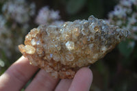 Natural Clear Hematoid Quartz With Goethite Inclusions x 13 From Zambia - Toprock Gemstones and Minerals 