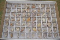 Natural Small White Spirit Quartz Crystals x 70 From Boekenhouthoek, South Africa - Toprock Gemstones and Minerals 