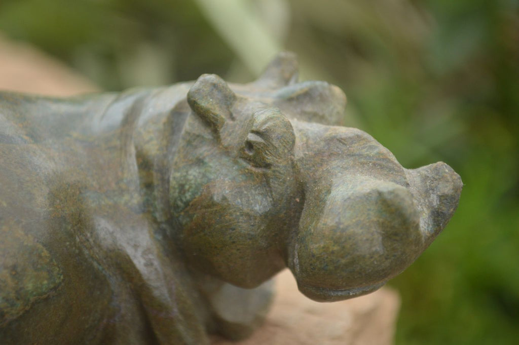 Polished Green Verdite Hippo Carvings  x 2 From Zimbabwe - TopRock