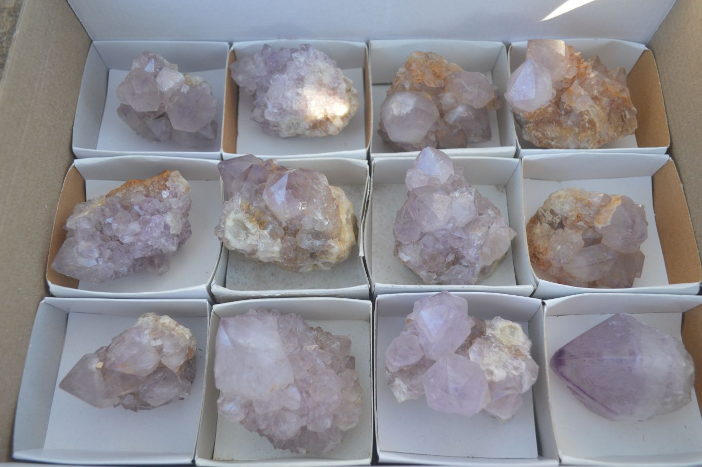 Natural Spirit Amethyst Cactus Quartz Clusters x 12 From Boekenhouthoek, South Africa - Toprock Gemstones and Minerals 