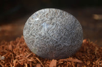 Polished Dendritic Opal Galet / Palm Stone x 12 from Madagascar - Toprock Gemstones and Minerals 