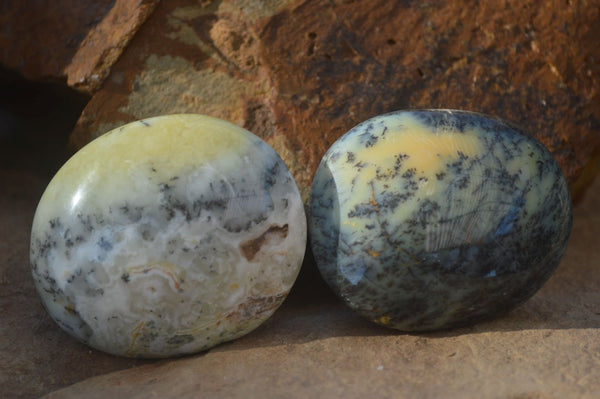 Polished Dendritic Opal Galet / Palm Stone x 12 from Madagascar - Toprock Gemstones and Minerals 