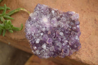 Natural Dark Amethyst Clusters (Stone Sealed) x 12 From Zambia - Toprock Gemstones and Minerals 
