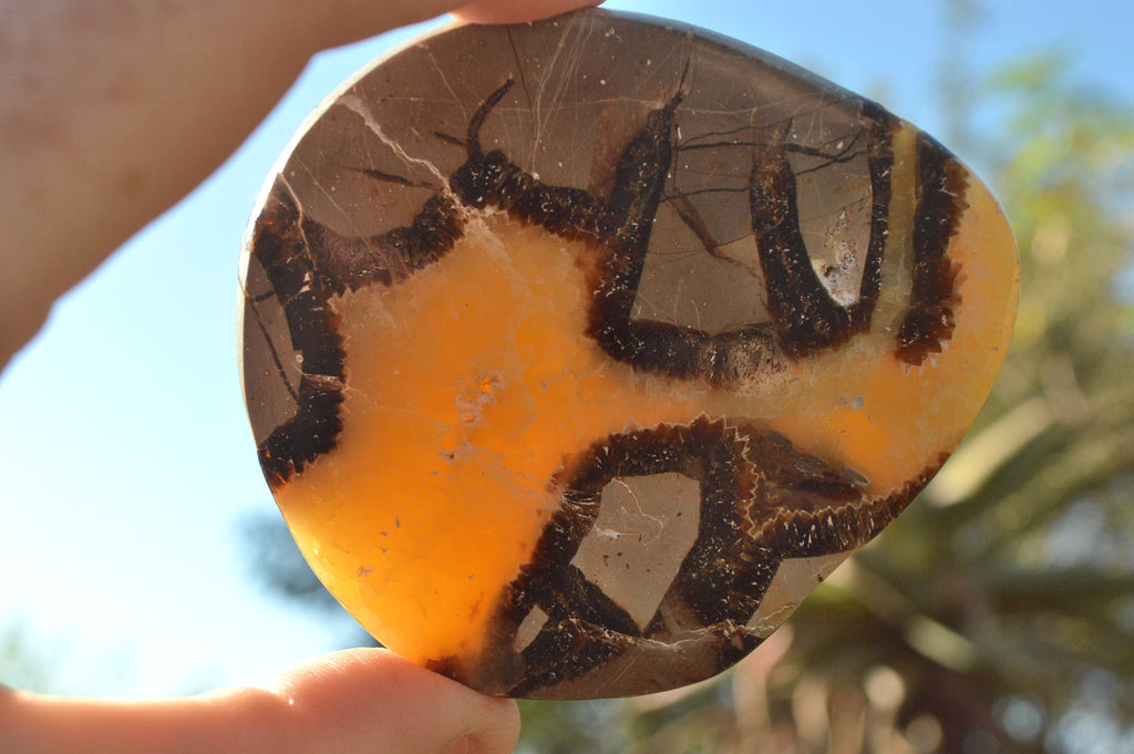 Polished Septerye (Aragonite & Calcite) Slices x 18 From Mahajanga, Madagascar - TopRock