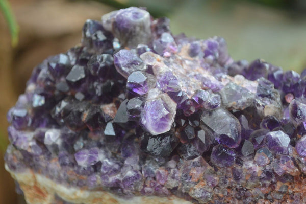 Natural Deep Purple Amethyst Clusters  x 6 From Zambia