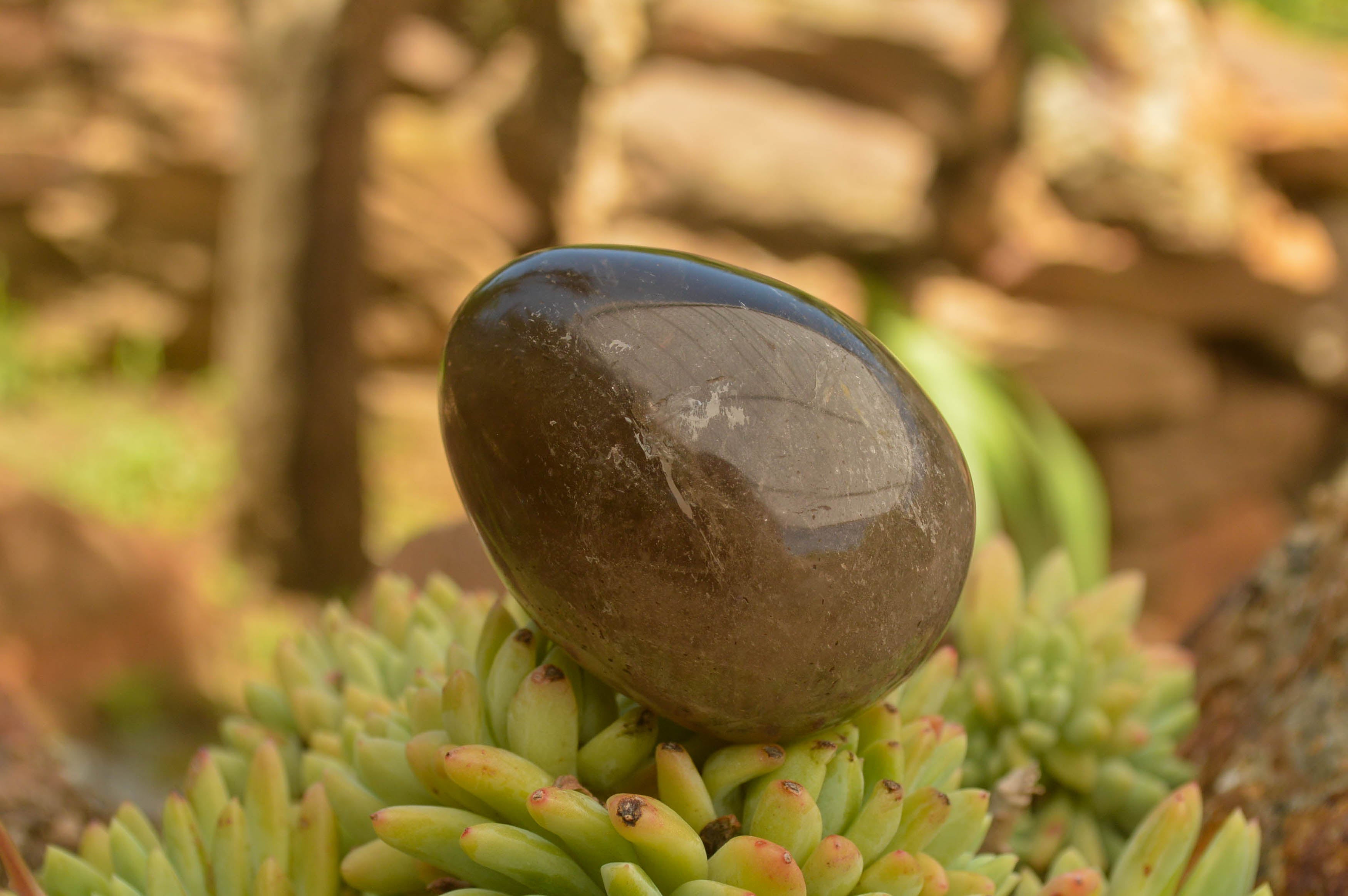 Polished Large Morion Smokey Quartz Eggs x 5 From Madagascar - TopRock