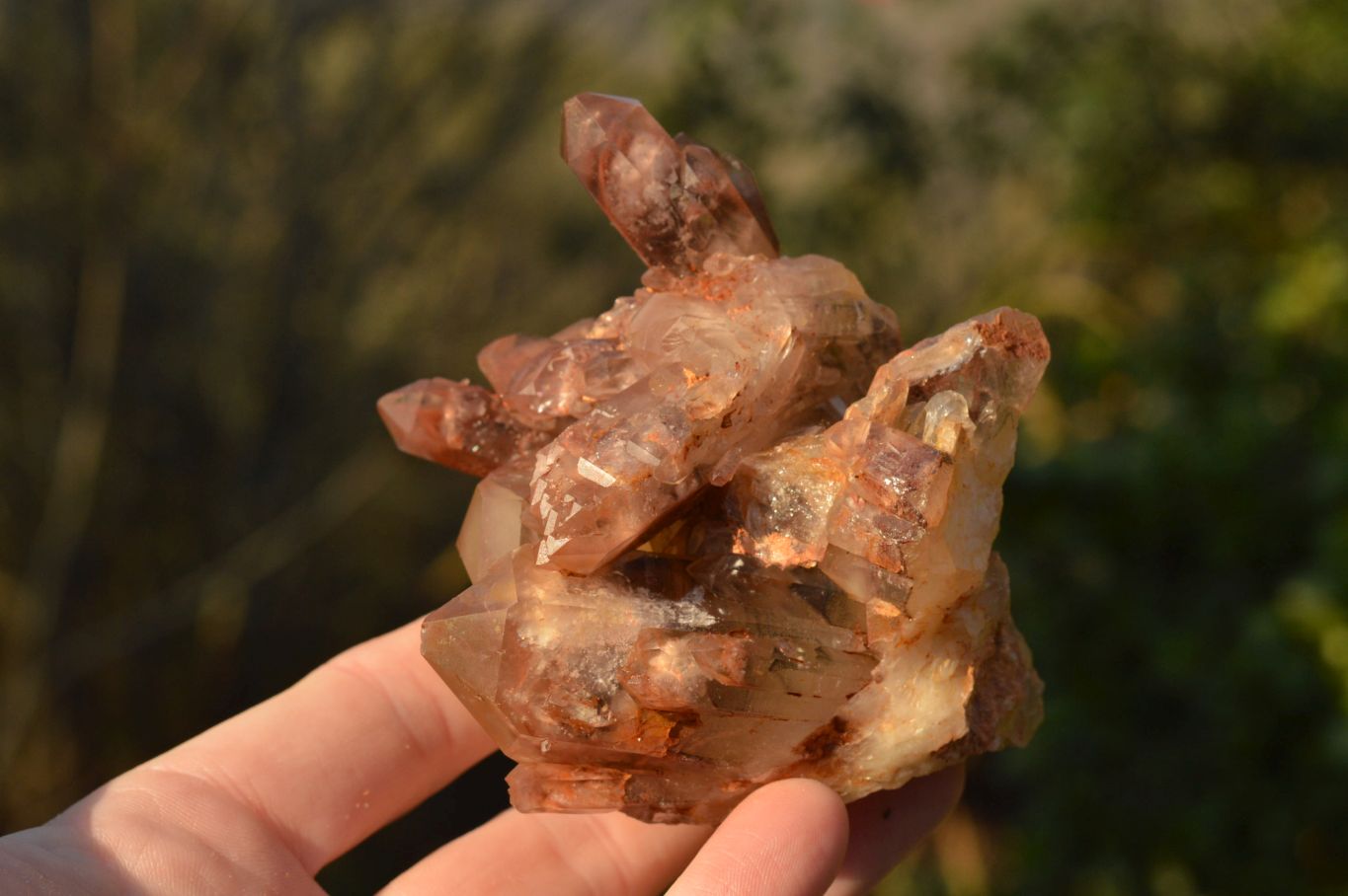 Natural Red Hematoid Phantom Quartz Clusters  x 6 From Karoi, Zimbabwe - TopRock