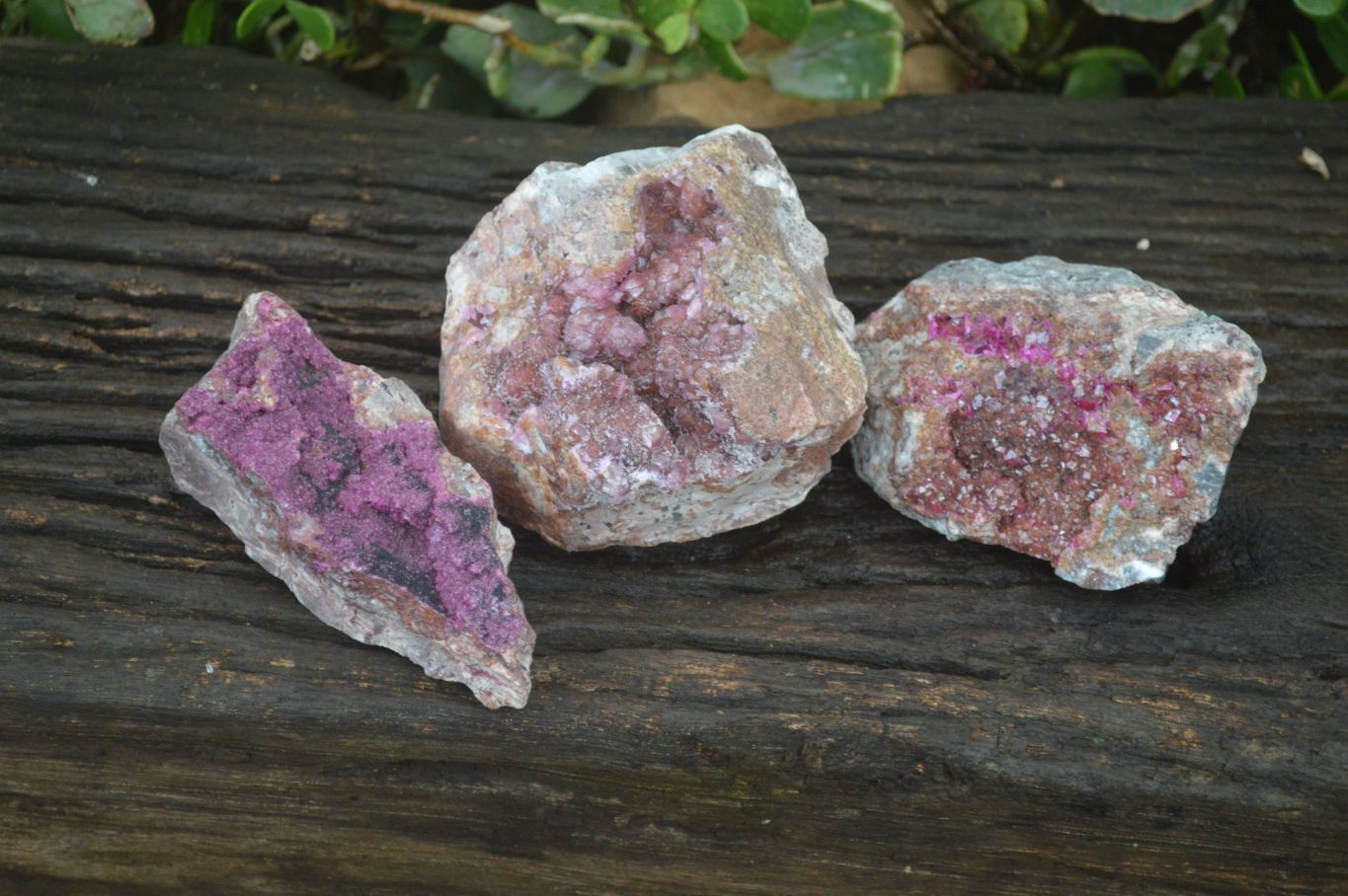 Natural Pink Salrose Cobaltion Dolomite Specimens  x 3 From Kakanda, Congo - Toprock Gemstones and Minerals 