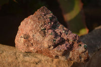 Natural Pink Salrose Cobaltion Dolomite Specimens x 6 From Kakanda, Congo - Toprock Gemstones and Minerals 