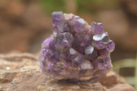 Natural Dark Amethyst Clusters (Stone Sealed) x 12 From Zambia - Toprock Gemstones and Minerals 