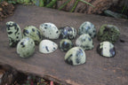Polished Spotted Leopard Stone Standing Free Forms  x 12 From Nyanga & Shamva, Zimbabwe - Toprock Gemstones and Minerals 