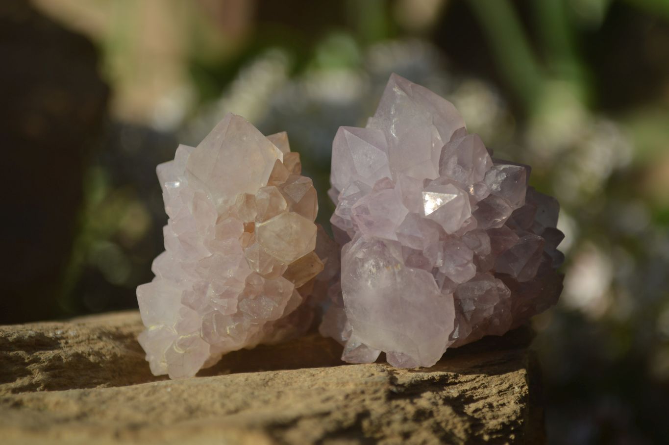 Natural Mixed Spirit Amethyst Quartz Crystals x 35 From Boekenhouthoek, South Africa - Toprock Gemstones and Minerals 