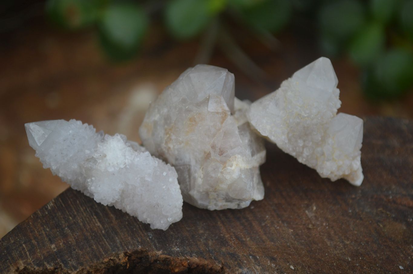 Natural Small White Spirit Quartz Crystals x 70 From Boekenhouthoek, South Africa - Toprock Gemstones and Minerals 