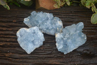Natural Blue Celestite Crystal Specimens  x 3 From Sakoany, Madagascar - Toprock Gemstones and Minerals 