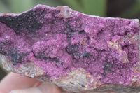 Natural Pink Salrose Cobaltion Dolomite Specimens  x 3 From Kakanda, Congo - Toprock Gemstones and Minerals 