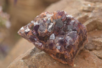 Natural Dark Amethyst Clusters (Stone Sealed) x 12 From Zambia - Toprock Gemstones and Minerals 