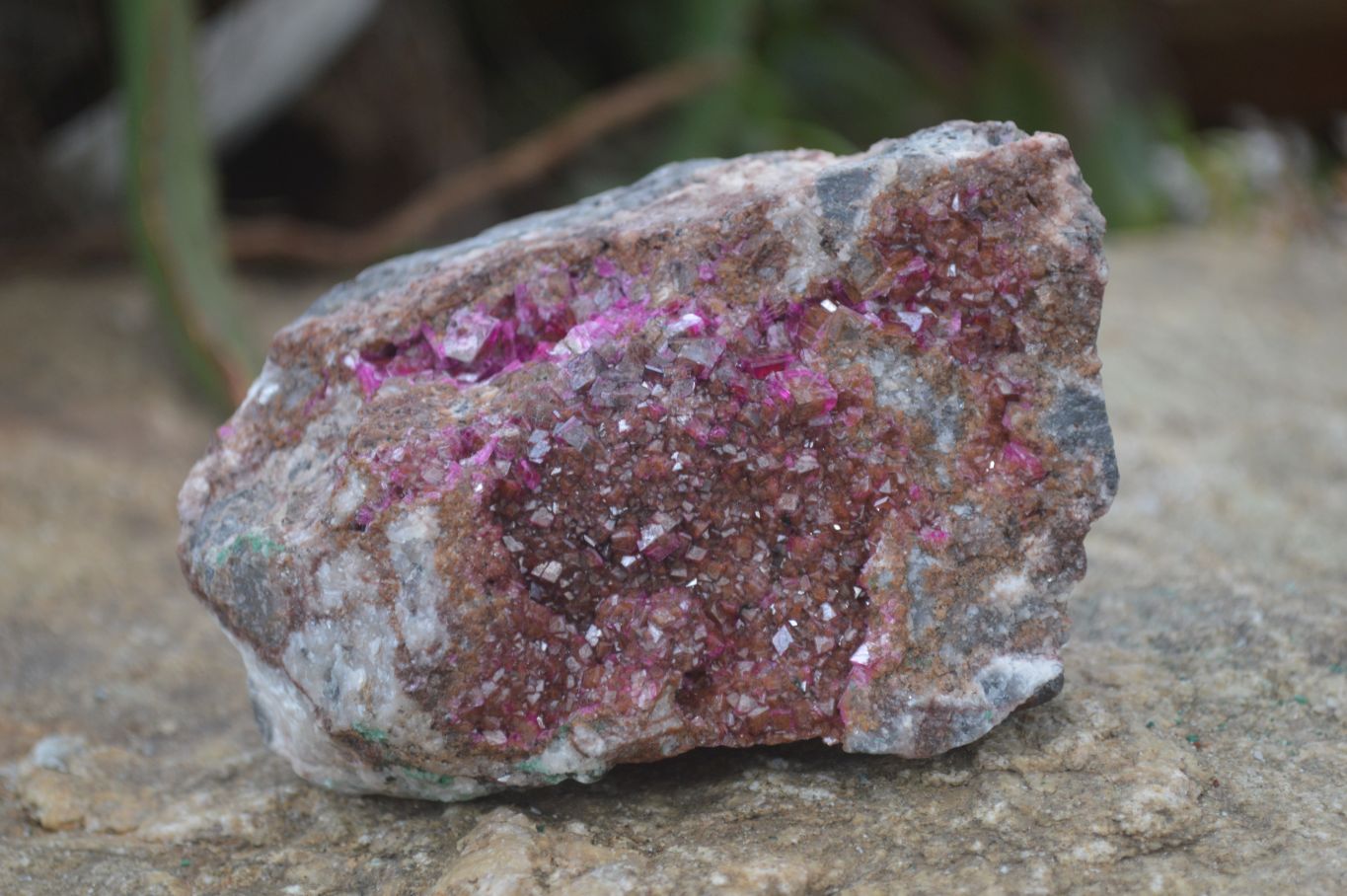 Natural Pink Salrose Cobaltion Dolomite Specimens  x 3 From Kakanda, Congo - Toprock Gemstones and Minerals 