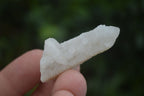 Natural Small White Spirit Quartz Crystals x 70 From Boekenhouthoek, South Africa - Toprock Gemstones and Minerals 