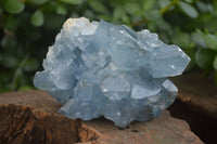 Natural Blue Celestite Crystal Specimens  x 3 From Sakoany, Madagascar - Toprock Gemstones and Minerals 
