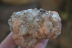 Natural Clear Hematoid Quartz With Goethite Inclusions x 13 From Zambia - Toprock Gemstones and Minerals 