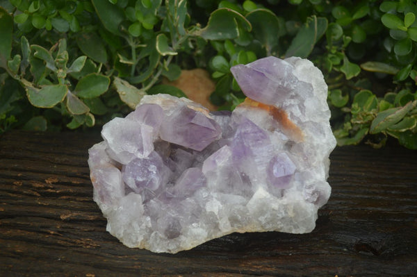 Natural Large Jacaranda Amethyst Cluster  x 1 From Mumbwa, Zambia - Toprock Gemstones and Minerals 