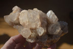 Natural Cascading Smokey Quartz Clusters x 2 From Luena, Congo - Toprock Gemstones and Minerals 