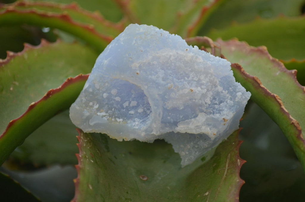 Natural Etched Blue Chalcedony Specimens x 12 From Nsanje, Malawi - Toprock Gemstones and Minerals 