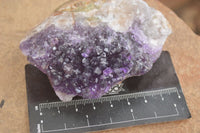 Natural Dark Amethyst Clusters (Stone Sealed) x 12 From Zambia - Toprock Gemstones and Minerals 