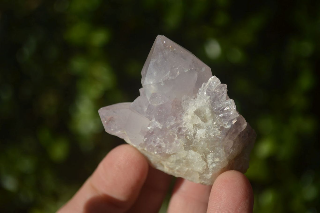 Natural Mixed Spirit Amethyst Quartz Crystals x 35 From Boekenhouthoek, South Africa - Toprock Gemstones and Minerals 