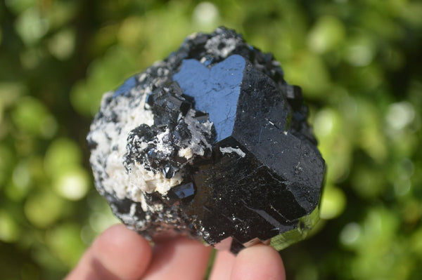 Natural Schorl Black Tourmaline Specimens x 6 From Erongo, Namibia