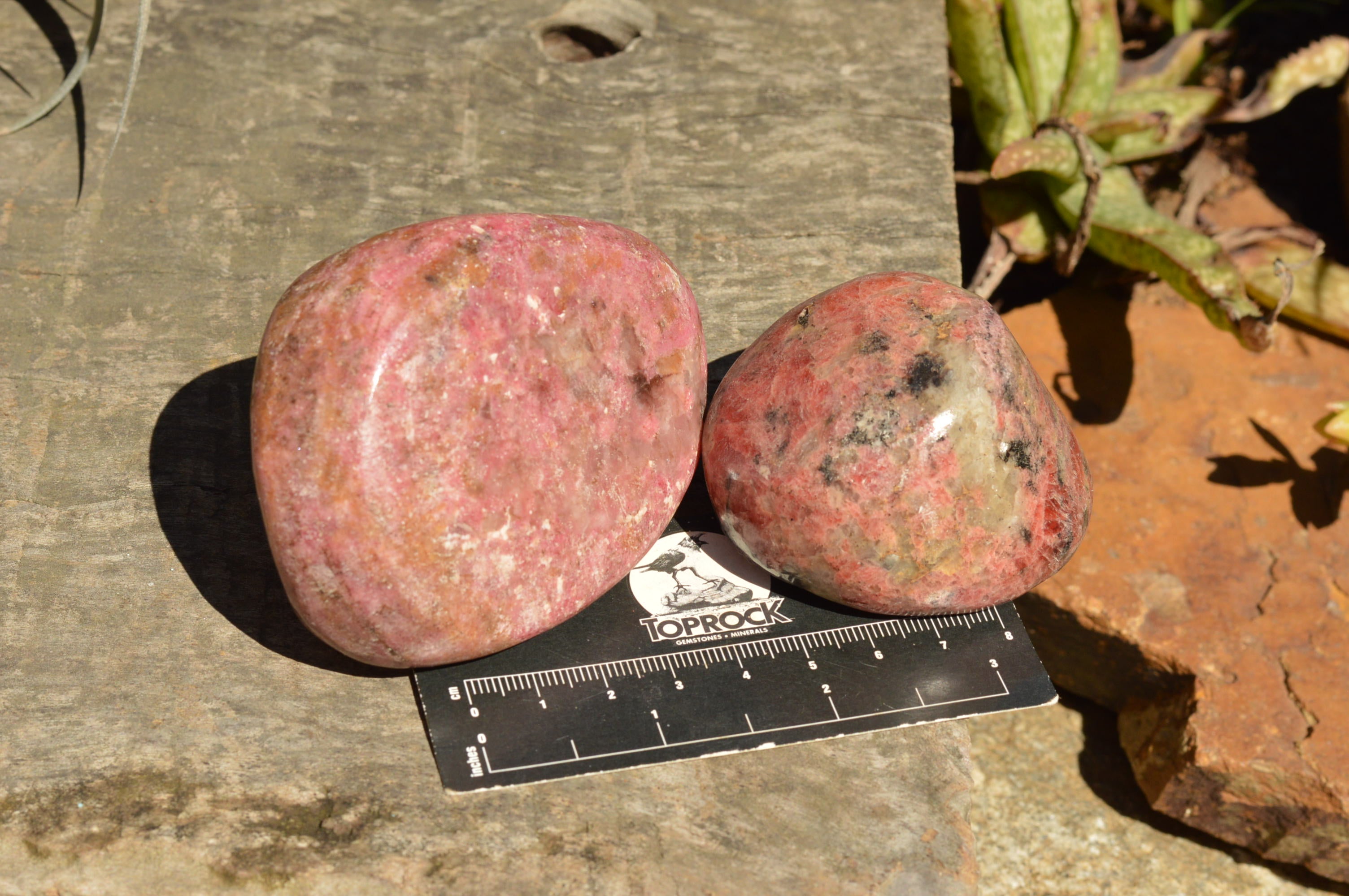 Natural Pink Rhodonite Palm Stones / Free Forms x 6 From Zimbabwe - TopRock