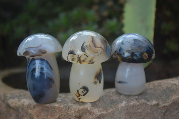 Polished Highly Selected Mini Agate Mushroom Carvings  x 20 From Madagascar - Toprock Gemstones and Minerals 