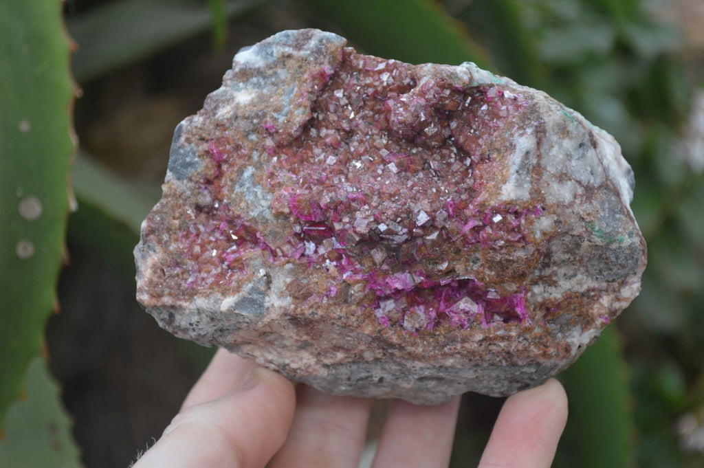 Natural Pink Salrose Cobaltion Dolomite Specimens  x 3 From Kakanda, Congo - Toprock Gemstones and Minerals 
