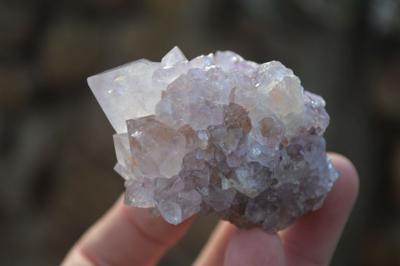 Natural Spirit Amethyst Cactus Quartz Clusters x 12 From Boekenhouthoek, South Africa - Toprock Gemstones and Minerals 