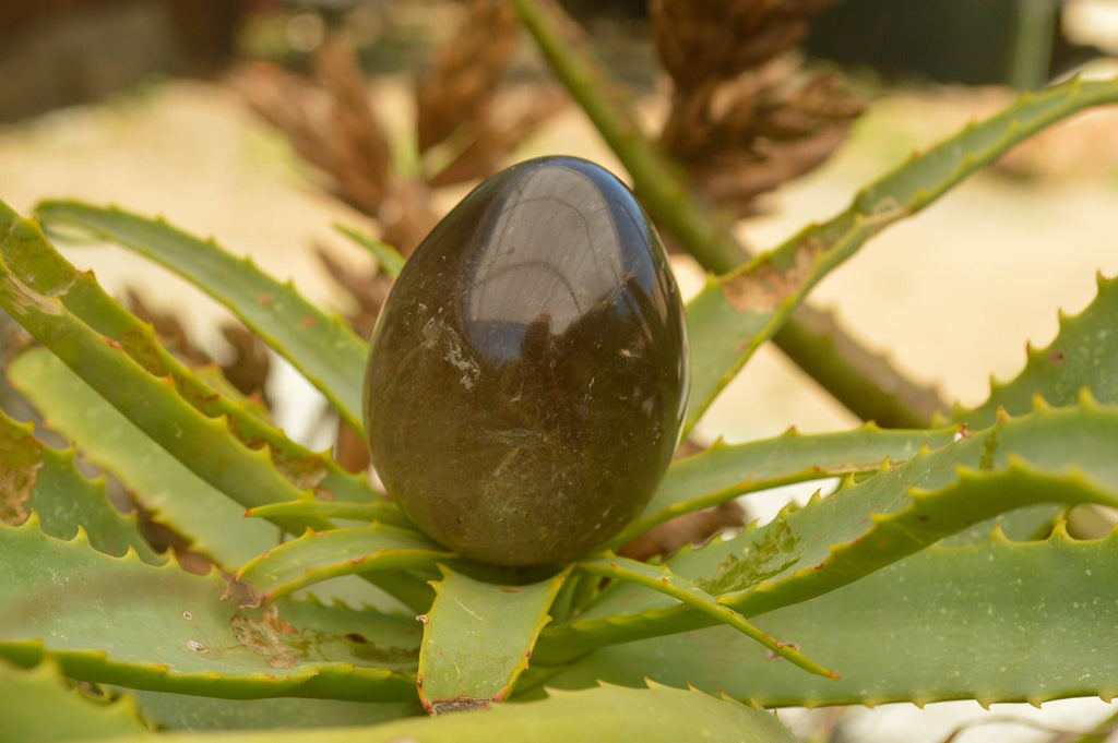 Polished Large Morion Smokey Quartz Eggs x 5 From Madagascar - TopRock