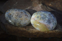 Polished Dendritic Opal Galet / Palm Stone x 12 from Madagascar - Toprock Gemstones and Minerals 