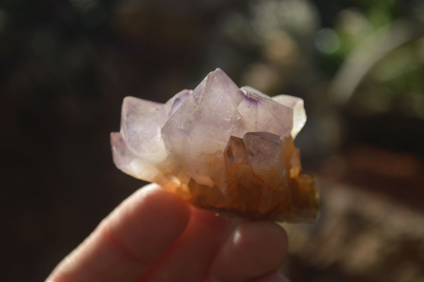 Natural Mixed Spirit Amethyst Quartz Crystals x 35 From Boekenhouthoek, South Africa - Toprock Gemstones and Minerals 