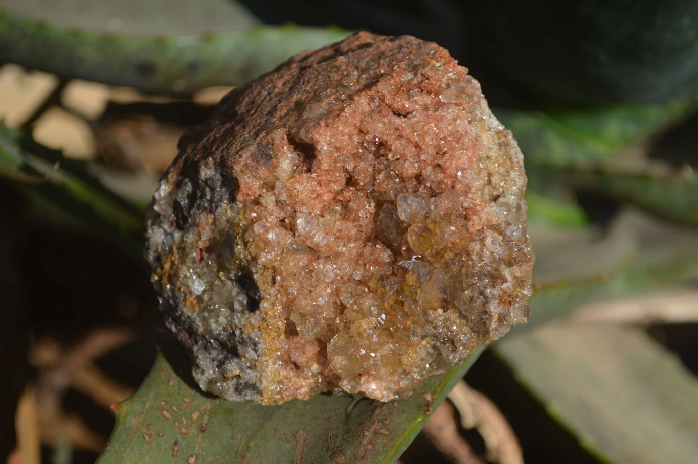 Natural Clear Hematoid Quartz With Goethite Inclusions x 13 From Zambia - Toprock Gemstones and Minerals 