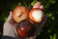 Polished Carnelian Agate Spheres  x 6 From Madagascar - Toprock Gemstones and Minerals 